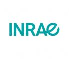 INRAE